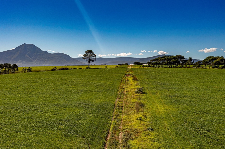 0 Bedroom Property for Sale in Tsitsikamma Eastern Cape